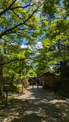 常寂光寺(京都府)