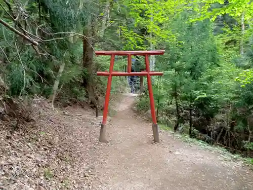 母の白滝神社の鳥居