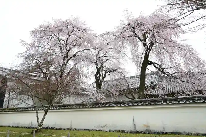 醍醐寺(京都府)