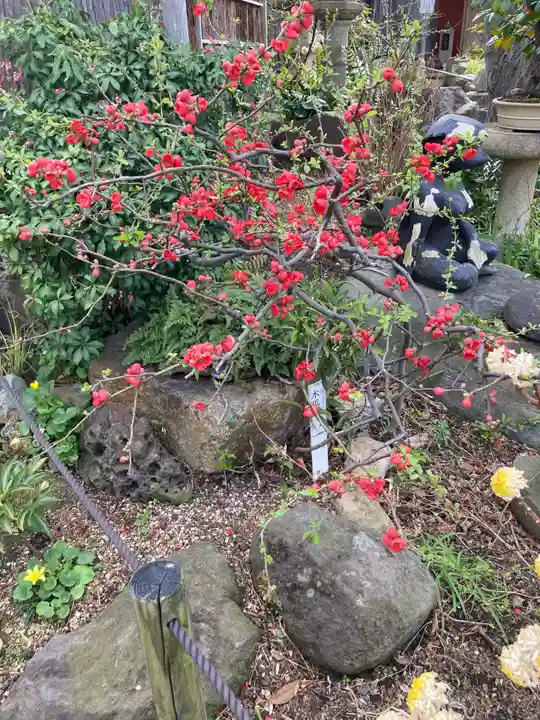 常泉寺(神奈川県)