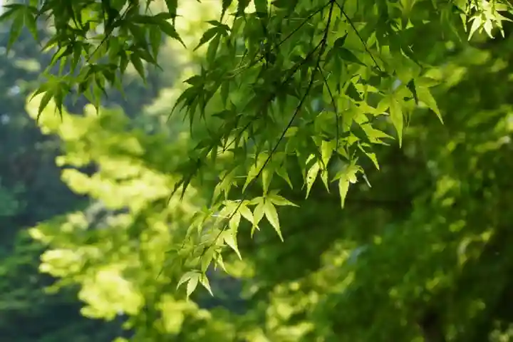 杉山谷不動尊(京都府)