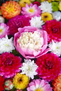 伊達神社(北海道)(2022年06月18日(土) 11時51分27秒投稿)