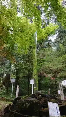 日光二荒山神社(栃木県)