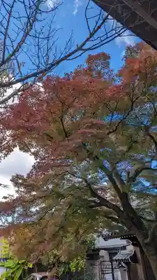 本満寺(本願満足寺)(京都府)