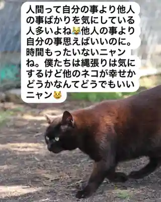 専念寺(大阪府)