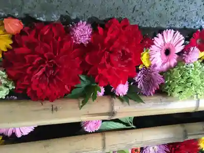 札幌護國神社の手水舎