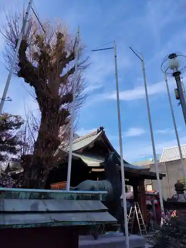 富士浅間神社の本殿・本堂