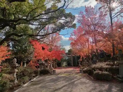 壺井八幡宮(大阪府)