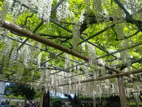 曼陀羅寺(愛知県)