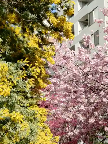 蔵前神社の{uncategorized: "未分類", other: "その他", undefined: "問題あり", building: "その他建物", grave: "お墓", sacred_gate: "鳥居", guardian: "狛犬", statue: "像", buddha: "仏像", history: "歴史", nature: "自然", garden: "庭園", animal: "動物", pagoda: "塔", temizu: "手水舎", mountain_gate: "山門・神門", sanctuary: "本殿・本堂", subordinate: "末社・摂社", art: "芸術", scenery: "景色", jizo: "地蔵", ema: "絵馬", goshuin: "御朱印", omikuji: "おみくじ", items: "授与品その他", amulet: "お守り", goshuincho: "御朱印帳", eats: "食事", festival: "お祭り", votive_dance: "神楽", shichigosan: "七五三参", wedding: "結婚式", experience: "体験その他", initially: "初詣", around: "周辺", anti_infection: "感染症対策"}