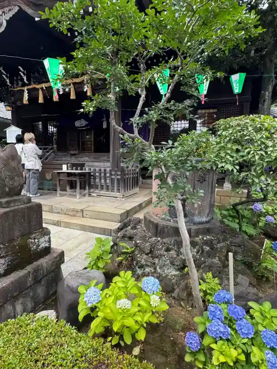 白山神社(東京都)