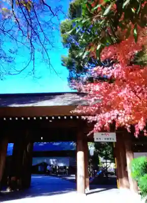 阿佐ヶ谷神明宮(東京都)