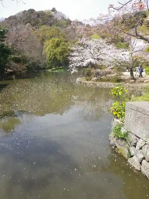 鶴岡八幡宮の庭園