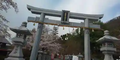 出雲大神宮の鳥居