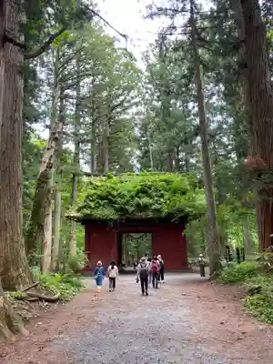 戸隠神社九頭龍社(長野県)