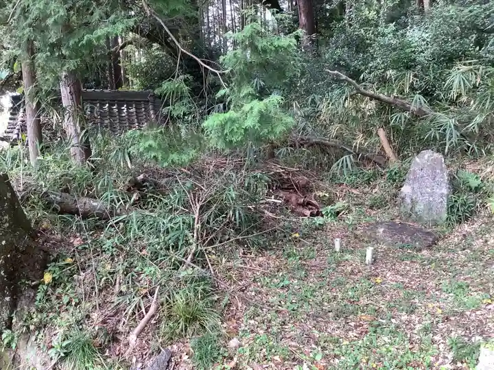 神明神社(野口)の自然