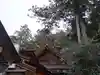 椿大神社(三重県)
