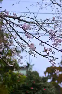 杉山社(神奈川県)