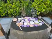 駒込妙義神社の{uncategorized: "未分類", other: "その他", undefined: "問題あり", building: "その他建物", grave: "お墓", sacred_gate: "鳥居", guardian: "狛犬", statue: "像", buddha: "仏像", history: "歴史", nature: "自然", garden: "庭園", animal: "動物", pagoda: "塔", temizu: "手水舎", mountain_gate: "山門・神門", sanctuary: "本殿・本堂", subordinate: "末社・摂社", art: "芸術", scenery: "景色", jizo: "地蔵", ema: "絵馬", goshuin: "御朱印", omikuji: "おみくじ", items: "授与品その他", amulet: "お守り", goshuincho: "御朱印帳", eats: "食事", festival: "お祭り", votive_dance: "神楽", shichigosan: "七五三参", wedding: "結婚式", experience: "体験その他", initially: "初詣", around: "周辺", anti_infection: "感染症対策"}