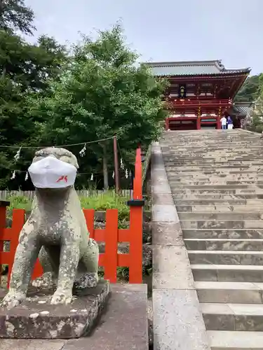 鶴岡八幡宮の狛犬