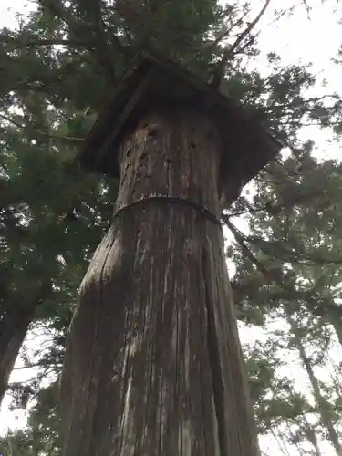 山家神社の自然