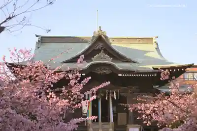 桜神宮の本殿・本堂