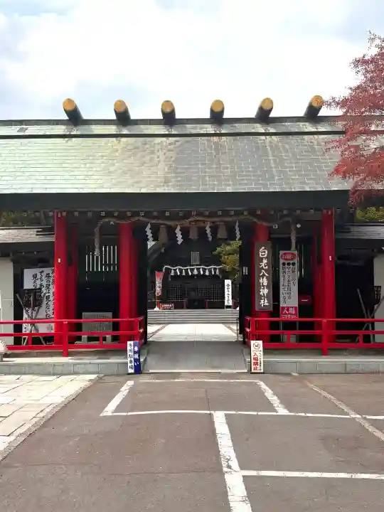 白老八幡神社の{uncategorized: "未分類", other: "その他", undefined: "問題あり", building: "その他建物", grave: "お墓", sacred_gate: "鳥居", guardian: "狛犬", statue: "像", buddha: "仏像", history: "歴史", nature: "自然", garden: "庭園", animal: "動物", pagoda: "塔", temizu: "手水舎", mountain_gate: "山門・神門", sanctuary: "本殿・本堂", subordinate: "末社・摂社", art: "芸術", scenery: "景色", jizo: "地蔵", ema: "絵馬", goshuin: "御朱印", omikuji: "おみくじ", items: "授与品その他", amulet: "お守り", goshuincho: "御朱印帳", eats: "食事", festival: "お祭り", votive_dance: "神楽", shichigosan: "七五三参", wedding: "結婚式", experience: "体験その他", initially: "初詣", around: "周辺", anti_infection: "感染症対策"}