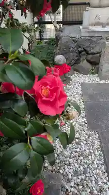 誓願寺(京都府)