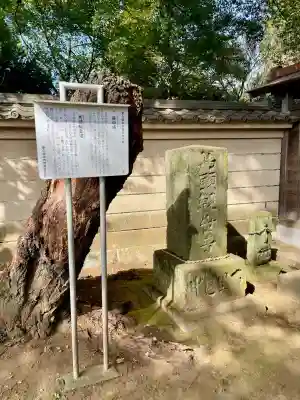 大円寺(東京都)