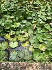 鶴林寺(兵庫県)