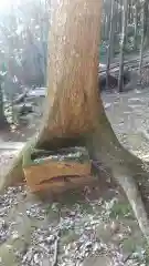 黒栖神社(鹿嶋神社)の手水