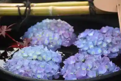 大鏑神社の手水舎