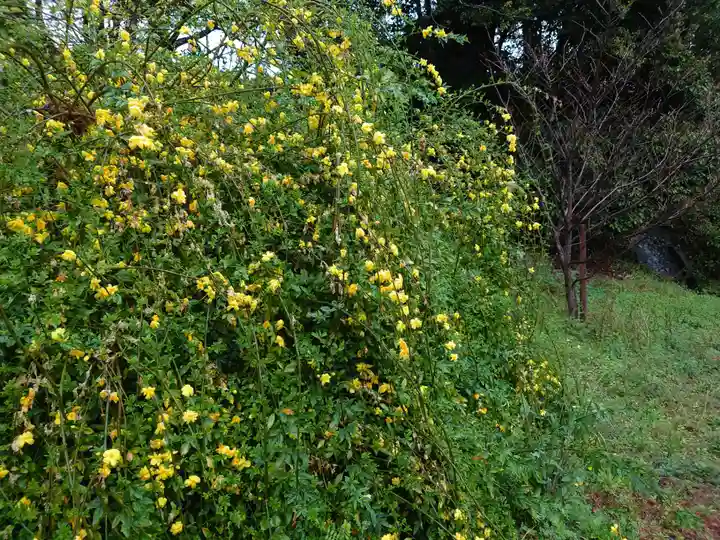 淡海國玉神社(静岡県)