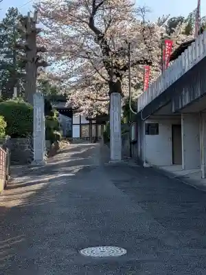 増福寺の{uncategorized: "未分類", other: "その他", undefined: "問題あり", building: "その他建物", grave: "お墓", sacred_gate: "鳥居", guardian: "狛犬", statue: "像", buddha: "仏像", history: "歴史", nature: "自然", garden: "庭園", animal: "動物", pagoda: "塔", temizu: "手水舎", mountain_gate: "山門・神門", sanctuary: "本殿・本堂", subordinate: "末社・摂社", art: "芸術", scenery: "景色", jizo: "地蔵", ema: "絵馬", goshuin: "御朱印", omikuji: "おみくじ", items: "授与品その他", amulet: "お守り", goshuincho: "御朱印帳", eats: "食事", festival: "お祭り", votive_dance: "神楽", shichigosan: "七五三参", wedding: "結婚式", experience: "体験その他", initially: "初詣", around: "周辺", anti_infection: "感染症対策"}