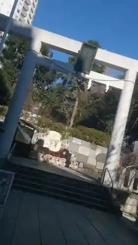 乃木神社の鳥居