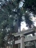 大宮温泉神社(栃木県)