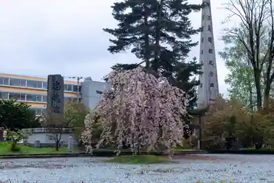 空知神社(北海道)