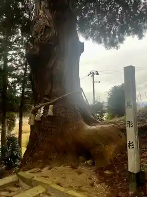 大崎八幡神社(宮城県)
