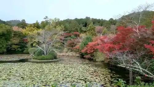 龍安寺の{uncategorized: "未分類", other: "その他", undefined: "問題あり", building: "その他建物", grave: "お墓", sacred_gate: "鳥居", guardian: "狛犬", statue: "像", buddha: "仏像", history: "歴史", nature: "自然", garden: "庭園", animal: "動物", pagoda: "塔", temizu: "手水舎", mountain_gate: "山門・神門", sanctuary: "本殿・本堂", subordinate: "末社・摂社", art: "芸術", scenery: "景色", jizo: "地蔵", ema: "絵馬", goshuin: "御朱印", omikuji: "おみくじ", items: "授与品その他", amulet: "お守り", goshuincho: "御朱印帳", eats: "食事", festival: "お祭り", votive_dance: "神楽", shichigosan: "七五三参", wedding: "結婚式", experience: "体験その他", initially: "初詣", around: "周辺", anti_infection: "感染症対策"}