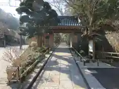 報国寺の山門