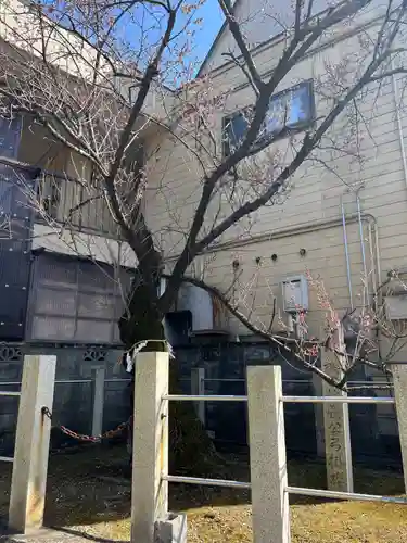 手力雄神社の自然