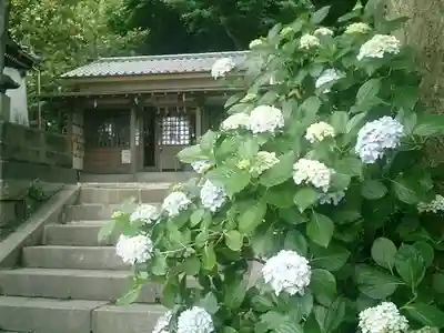 五所神社の本殿・本堂