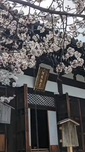 くろ谷 金戒光明寺(京都府)