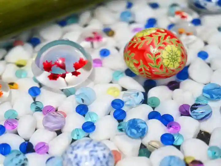 二尊院(京都府)