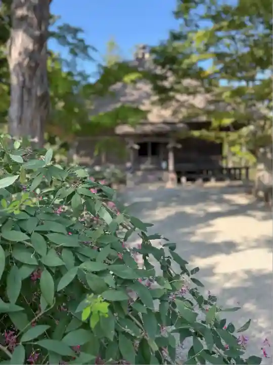 毛越寺(岩手県)