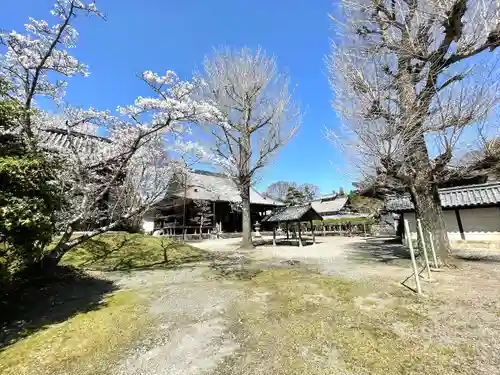 本誓寺(東本誓寺)(滋賀県)