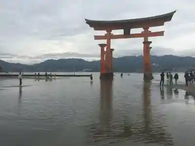 厳島神社(広島県)
