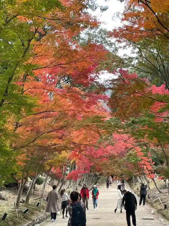 醍醐寺(京都府)