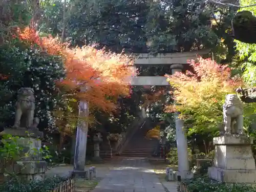 赤坂氷川神社の鳥居