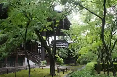 真正極楽寺（真如堂）(京都府)